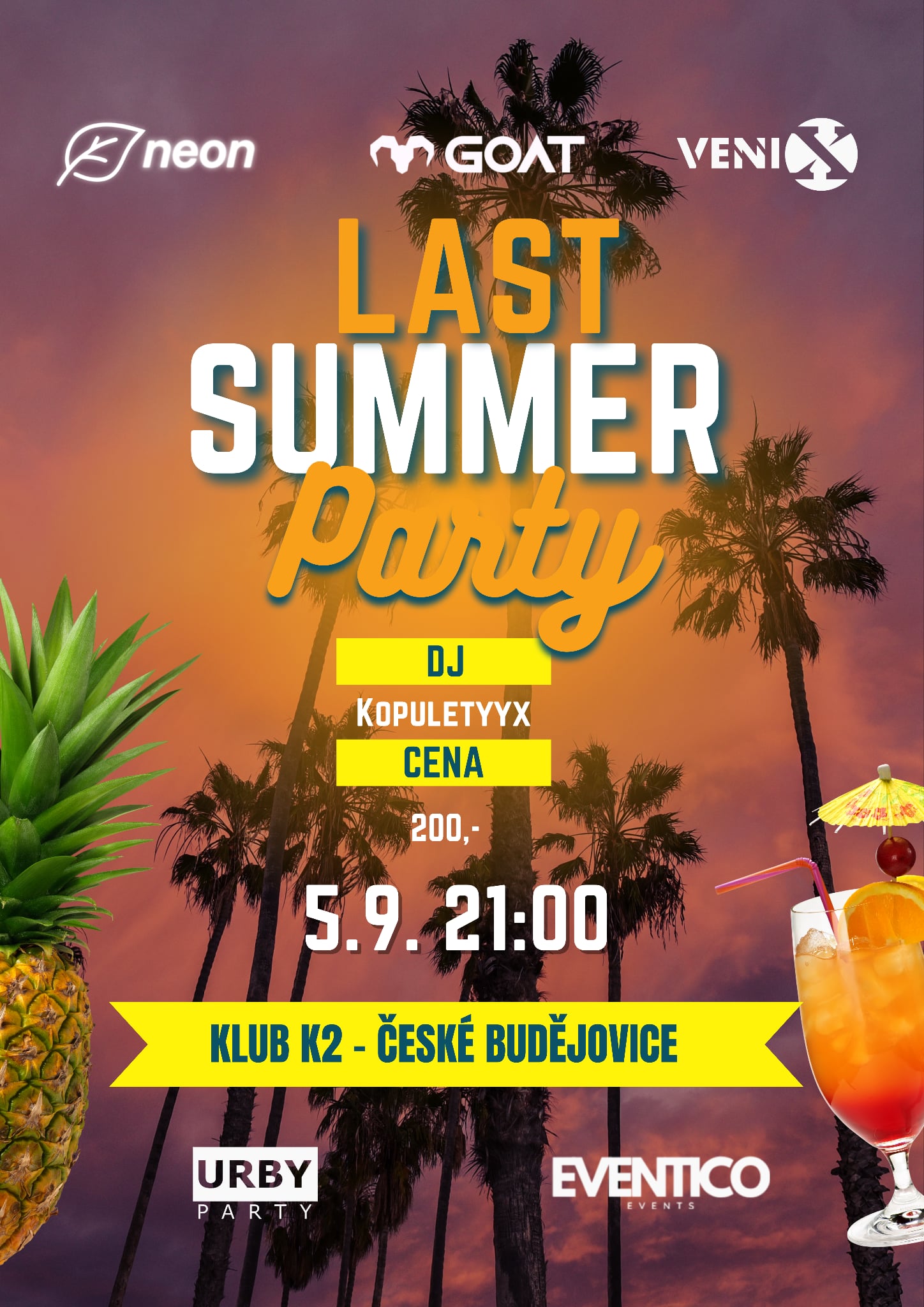 Last summer party